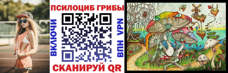 Псилоцибиновые грибы мухоморы  площадка какой сайт  Железногорск-Илимский  hydra ССЫЛКА 